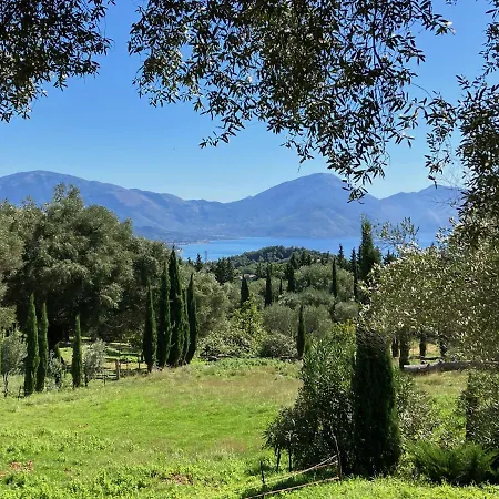 Pie' D'ulivo Bosco (Campania)