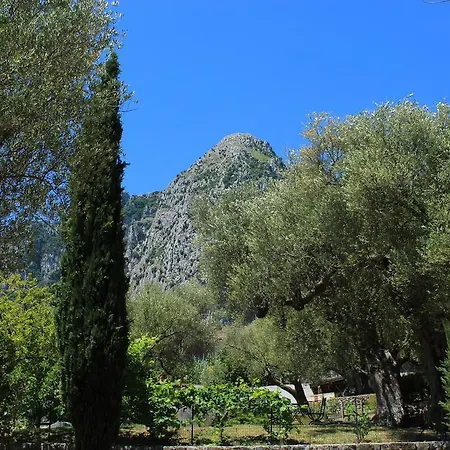 Pie' D'ulivo Country house *