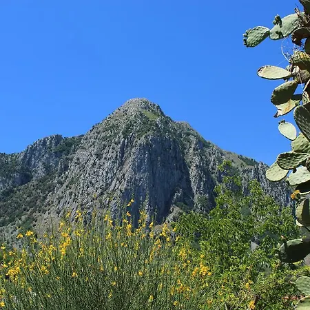 Pie' D'ulivo * Bosco (Campania)
