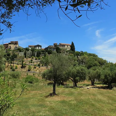 Pie' D'ulivo * Bosco (Campania)