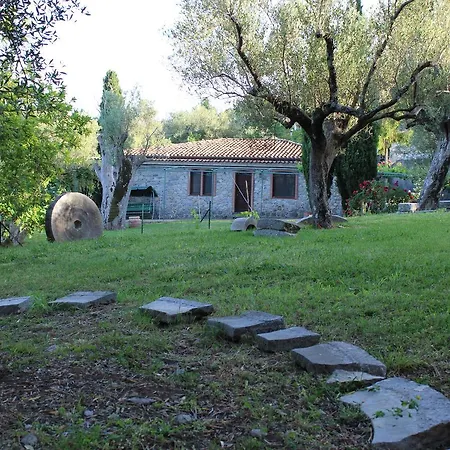 Pie' D'ulivo Bosco (Campania)
