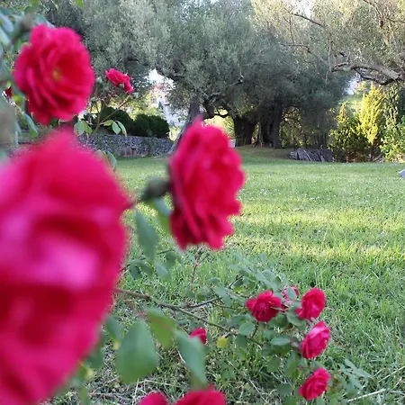 Casa de Campo Pie' D'ulivo Bosco (Campania)