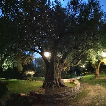 Pie' D'ulivo Casa rural