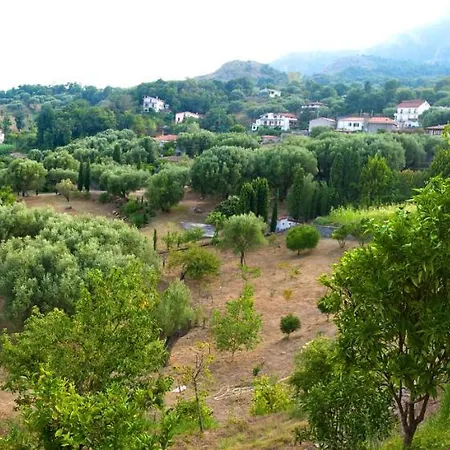 Pie' D'ulivo Casa di campagna Bosco (Campania)