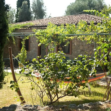 Pie' D'ulivo