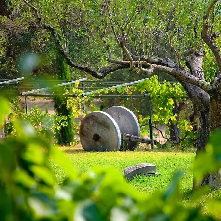 Casa di campagna Pie' D'ulivo Bosco (Campania)