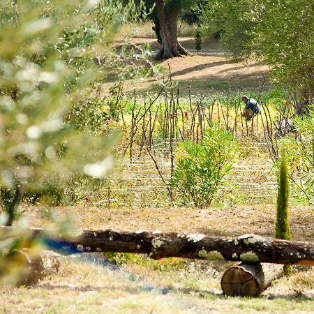 Casa de Campo Pie' D'ulivo *