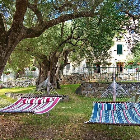 Casa de Campo Pie' D'ulivo Bosco (Campania)