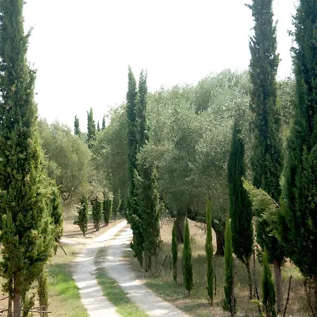 Casa de Campo Pie' D'ulivo